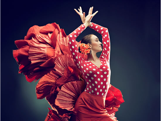 flamenco (1)